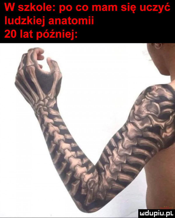 w szkole po co mam się uczyć ludzkiej anatomii    lat później