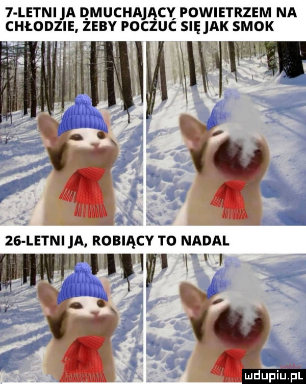 letni a qmuchający powietrzem na chłodzie zeby poczuc się ak smok    letnica robiący to nadal w v