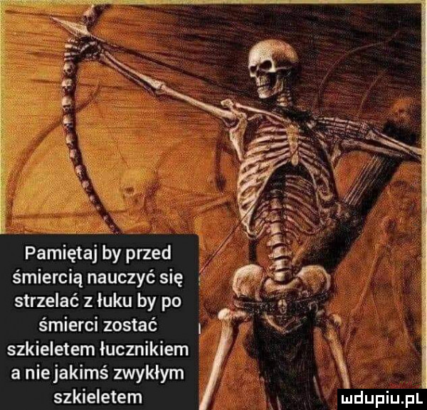 pamiętaj by przed śmiercią nauczyć się strzelać z łuku by po śmierci zostać szkieletem łucznikiem a niejakims zwykłym. szkieletem