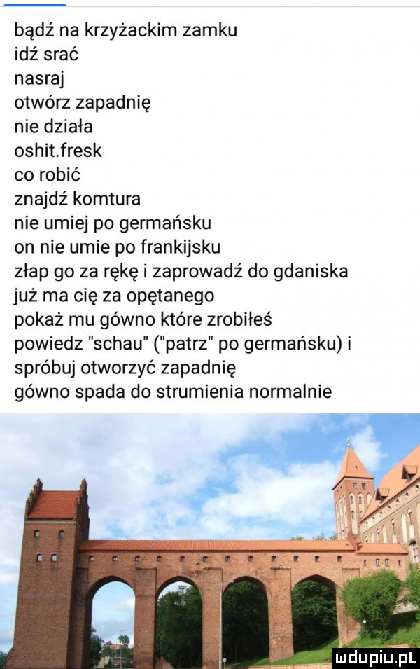 bądź na krzyżackim zamku idź srać nasraj otwórz zapadnię nie działa oshit fresk co robić znajdź komtura nie umiej po germańsku on nie umie po frankijsku złap go za rękę i zaprowadź do gdaniska już ma cię za opętanego pokaż mu gówno które zrobiłeś powiedz schau patrz po germańsku i spróbuj otworzyć zapadnię gówno spada do strumienia normalnie liidupiuil