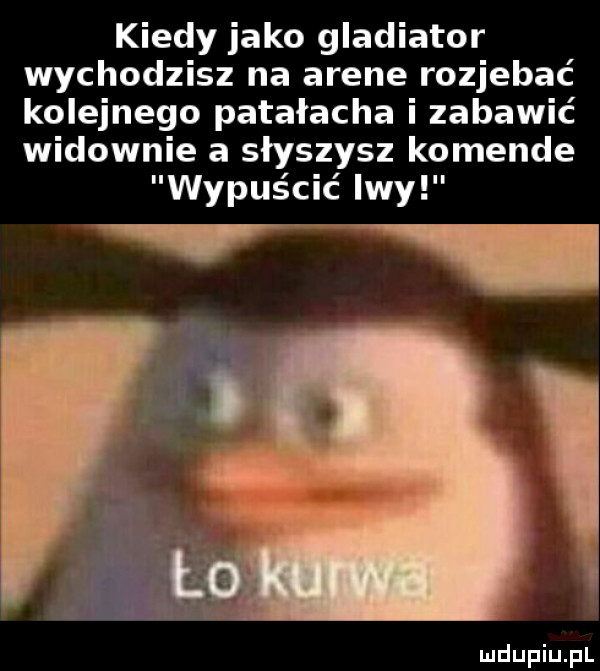 kiedy jako gladiator wychodzisz na arene rozjebać kolejnego patałacha i zabawić widownie a słyszysz komende wypuścić lwy