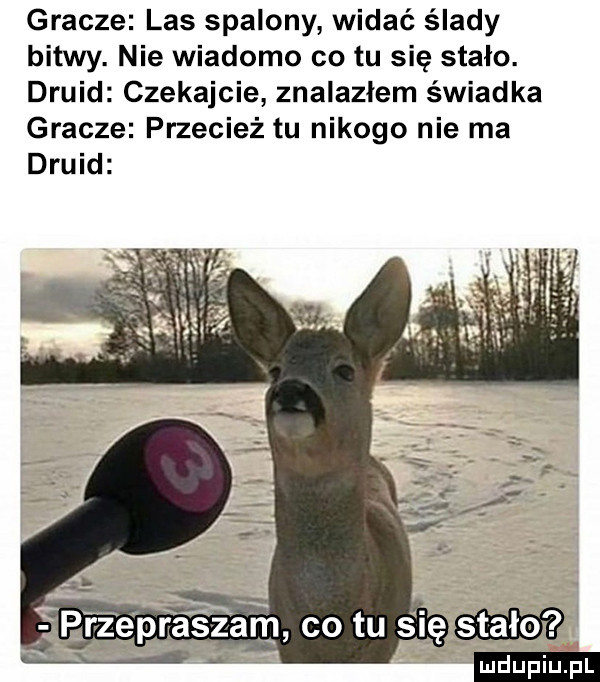 gracze las spalony widać ślady bitwy. nie wiadomo co tu się stało. druid czekajcie znalazłem świadka gracze przecież tu nikogo nie ma druid stało