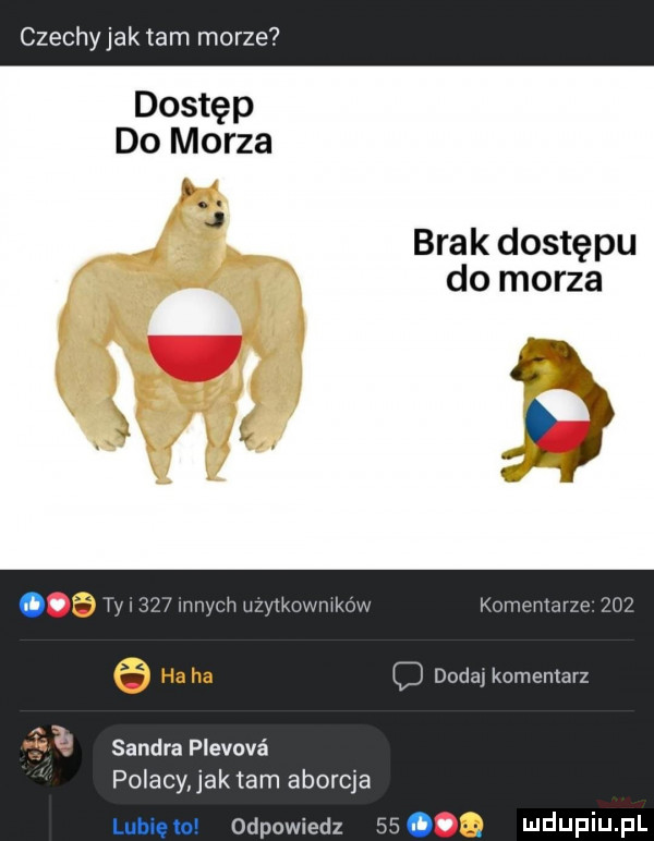 czechy jak tam morze dostęp do morza u brak dostępu do morza h ei u i wmwchuzv krjrrmmarz.   ha ha c dodaj komentarz ę sandra plevové polacy jak tam aborcja odpowiedz