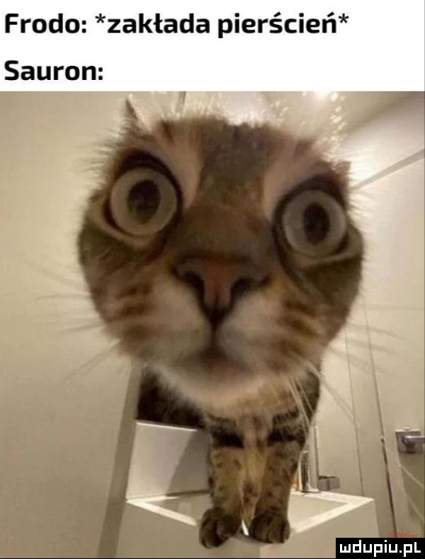 frodo zakłada pierścień sauron a mdupiepl