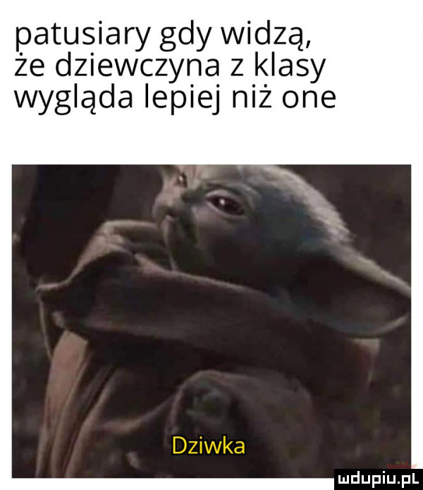 patusiary gdy widzą że dziewczyna z k iksy wygląda lepiej niż one