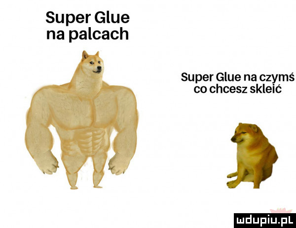 super glee na palcach super glee na czymś co chcesz skleić ludu iu. l