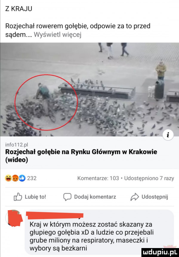 z kraju rozjechai rowerem gołębie odpowie za to przed sądem. wyświetl więcej info    pi rozjechal golebie na rynku głównym w krakowie wideo. j     komentarze     udostępniono   razy lubięlo dodaj komentarz udostępnij kraj w którym możesz zostać skazany za głupiego gołębia xd a ludzie co przejebali grube miliony na respiratory maseczki i wybory są bezkarni