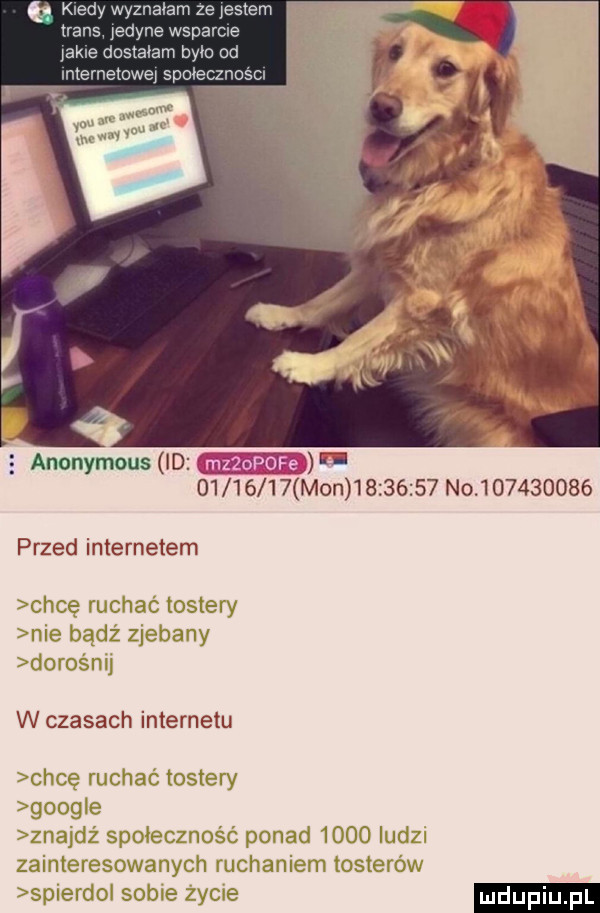 ęanonymousud          mon          no           przed internetem chcę ruchac tostery nie badż zjebany donos nu w czasach internetu chcę ruchać tostery grog e znajdź społeczność ponad      ludzi zainteresowanych ruchaniem testerów sp eddo sobie zycie