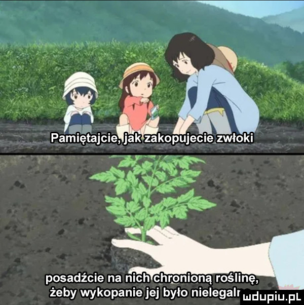 posadźcie na nich chronioną roślinę żeby wykopaniejej bylo nielegalrmdupiu pl