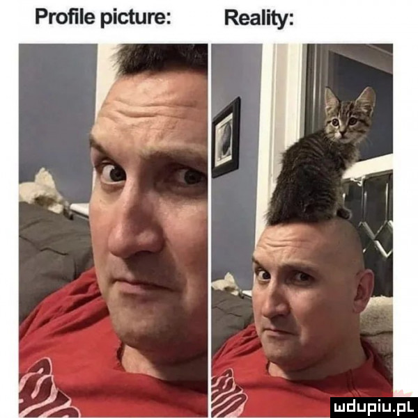 proﬁle picture