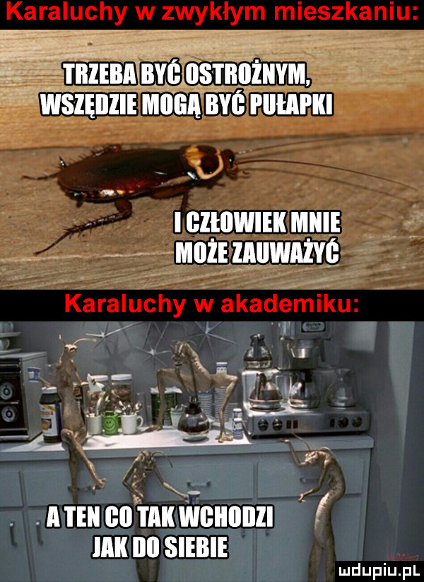 v jiiieba wszęiizje alona nat pllﬂlpkl iczeiiwiekiaiile ei wmnzimuwnzve. abakankami f aten co mu wcunnzl um nn siebie