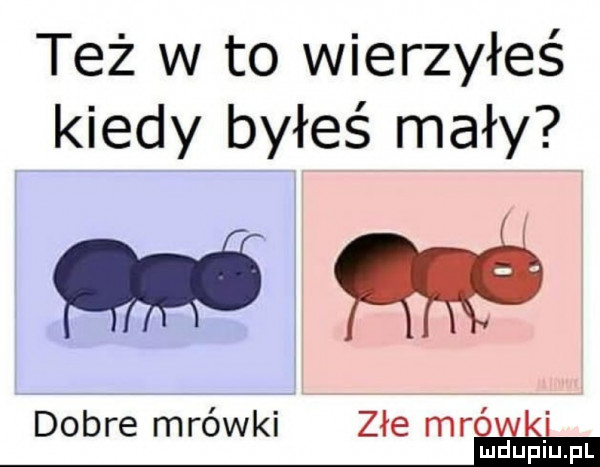 też w to wierzyłeś kiedy byłeś mały m dobre mrówki złe mrii if mduplu pl