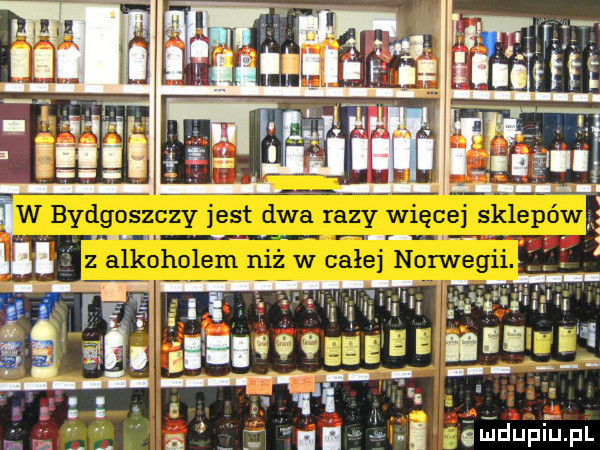 v vi   v i ęlęllf q e esi w l p in. dup lu i i i ś