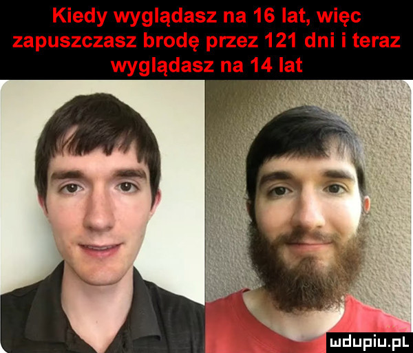 kiedy wyglądasz na    lat więc zapuszczasz brodę przez     dni i teraz wyglądasz na    lat ludu iu. l
