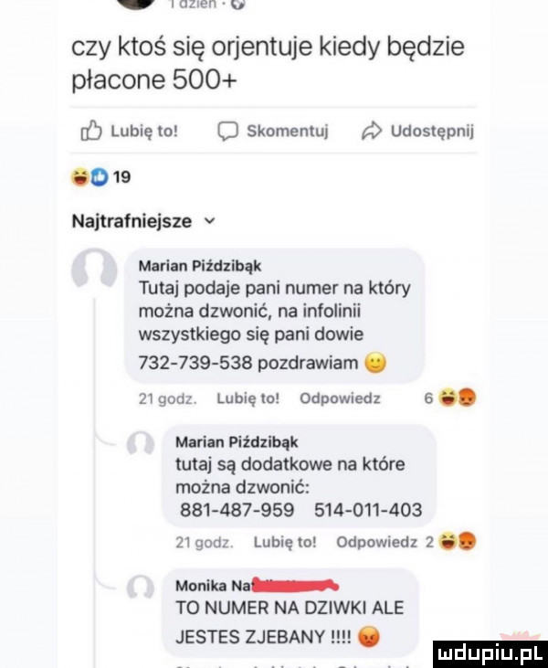 men u czy ktoś się orientuje kiedy będzie płacone     if lubię m d skoremu. udostępnij o    nailrafniejsze v marian plidxlbqk tutaj podaje pani numer na który można dzwonić na infolinii wszystkiego się pani dowie             pozdrawiam. żigodz lubięlo odpowiedz e marian piżdxlbqk tutaj są dodatkowe na które można dzwonić                             dz lumem odpowied  . monika na to numer na dziwki ale jestes zjebany
