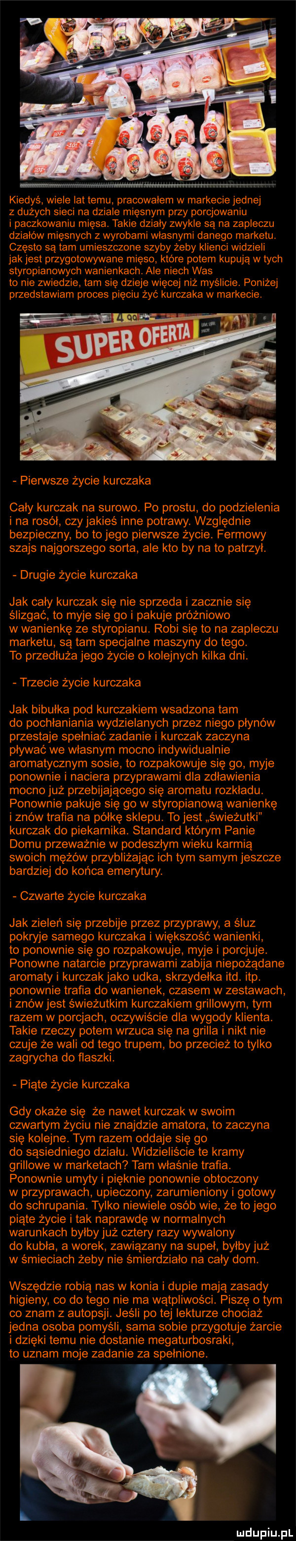 kiedyś. wiele lat temu. pracowałem w markecie jednej z dużych sieci na dziale mięsnym przy porcjowaniu i paczkowaniu mięsa. takie dziady zwykle są na zapleczu dztałow mięsnych z wyrobami własnymi danego marketu często są tam umieszczone szyby żeby klienci widzieli jakjest przygotowywane mięso które potem kupują w tych styropianowych wanienkach. ale niech was to nie zwiedzie tam się dzieje więcej niż myslicie. poniżej przedstawiam proces pięciu żyć kurczaka w markecie. pierwsze życie kurczaka cały kurczak na surowo. po prestu do podzteienia i na rosół czy jakieś inne potrawy. względnie bezpieczny bo to jego pierwsze życie. fermowy szajs najgorszego sorta ale kto by na to patrzył. drugie życie kurczaka jak cały kurczak się nie sprzeda l zacznie sie ślizgac to myje się go i pakuje próżniowo w wanienkę ze styropianu. robi się to na zapleczu marketu są tam specjalne maszyny do tego. to przedłuża jego życie o kolejnych kilka dni. trzecie życie kurczaka jak bibułka pod kurczakiem wsadzona tam do pochłaniania wydzielanych przez niego płynów przestaje spełniac zadanie i kurczak zaczyna plywac we własnym mocno indywidualnie aromatycznym sosie to rozpakowuje się go. myje ponownie i naciera przyprawami dla zdławienia mocno już przebijającego się aromatu rozkładu. ponownie pakuje się go w styropianową wanienkę i znow trafia na półkę sklepu. to jest s wieżutki kurczak do piekarnika. standard ktorym panie domu przeważnie w podeszłym wieku karmią swoich mężów przybliżając ich tym samym jeszcze bardziej do konca emerytury. czwarte życie kurczaka jak zieleń się przebije przez przyprawy a sluz pokryje samego kurczaka i większość wanienki. to ponownie się go rozpakowuje myje i porcjuje. ponowne natarcie przyprawami zabija niepożądane aromaty i kurczak jako udka skrzydełka ind. ibp. ponownie trafia do wanienek czasem w zestawach i znów jest świeżutkim kurczakiem grillowym tym razem w porcjach oczywiście dla wygody klienta. takie rzeczy potem wrzuca się na grilla i nikt nie czuje że wali od tego trupem bo przecież to tylko zagrycha do flaszki. piąte życie kurczaka gdy okaże się że nawet kurczak w swoim czwartym życiu nie znajdzie amatora to zaczyna się kolejne. tym razem oddaje się go do sąsiedniego działu. widzieliście te kramy grillowe w marketach tam właśnie trafia. ponownie umyty i pięknie ponownie obtoczony w przyprawach upieczony zarumieniony i gotowy do schrupania. tylko niewiele osób wie że to jego piate życie i tak naprawdę w normalnych warunkach byłby już cztery razy wywalony do kubła. a worek zawiązany na supeł. byłby już w s mieciach żeby nie smierdzialo na cały dom. wszędzie robią nas w konia i dupie mają zasady higieny co do tego nie ma wątpliwości. piszę obym co znam z autopsji. jeśli po tej lekturze chociaż jedna osoba pomysli sama sobie przygotuje żarcie i dzięki temu nie dostanie megaturbosraki to uznam moje zadanie za spełnione