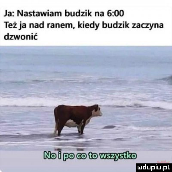 ja nastawiam budzik na      też ja nad ranem kiedy budzik zaczyna dzwonić mag