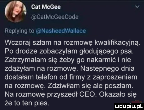 cat mcgee v catmcgeecode replymg to nasheedwałiace wczoraj szłam na rozmowę kwalifikacyjną. po drodze zobaczyłam głodującego psa. zatrzymałam się żeby go nakarmić i nie zdążyłam na rozmowę. następnego dnia dostałam telefon od ﬁrmy z zaproszeniem na rozmowę. zdziwiłam się ale poszłam. na rozmowę przyszedł ceo. okazało się że to ten pies. ndupiu pl