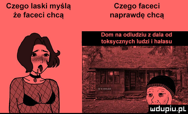 czego laski myślą czego faceci że faceci chcą naprawdę chcą dom na odludziu dala od toksyczn ch iudzi lasu