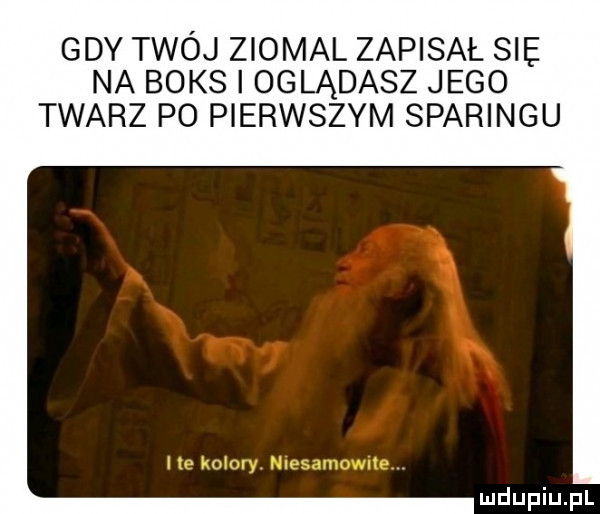 gdy twój ziomal zapisał sie na boks i oglądasz jego twarz po pierwszym sparingu