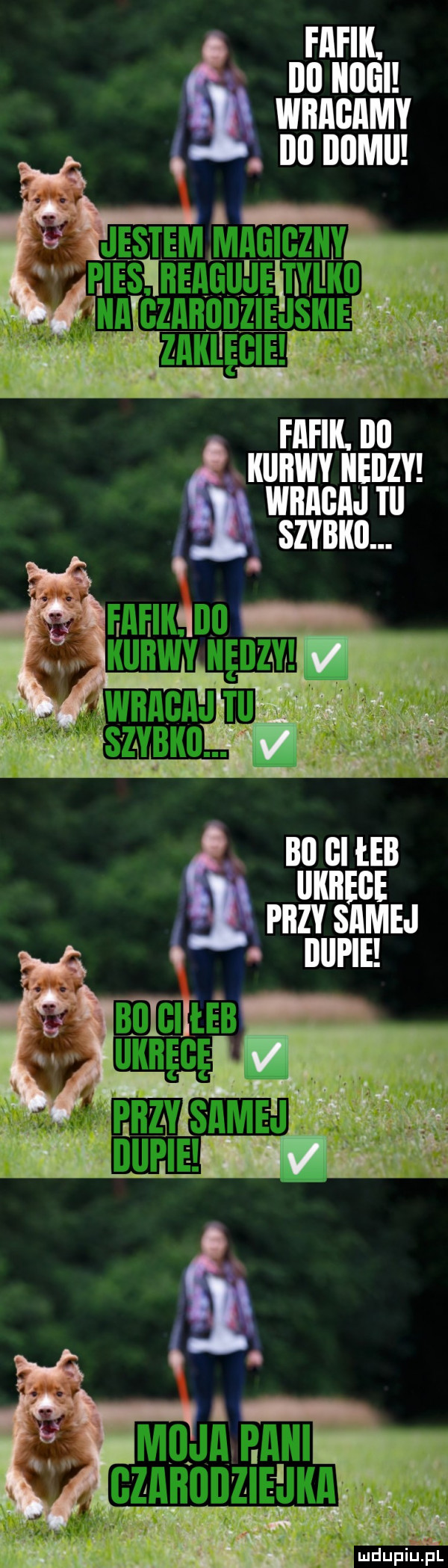 fafik. ibl iiiigi wnncnmv no nam kurwy iieiizy wracaj iii szybki. bai gi er ukrege przy samej iiiii ie