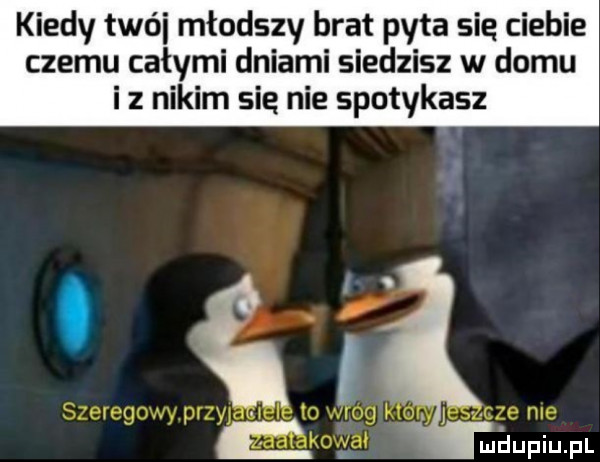 kiedy trói młodszy brat pyta sie ciebie czemu całymi dniami siedzisz w domu iz nikim sie nie spotykasz midupiupl