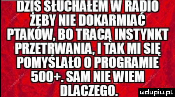 i takiiwłbii i iiiigiitiistyiiiii i iilei iiwaiiiiiij iiaﬂiliisie