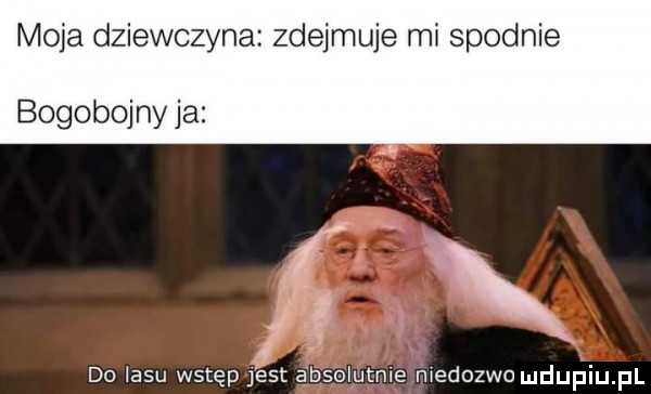 moja dziewczyna zdejmuje mi spodnie bogobojny ja do lasu wstęp fest a bselutme medozwo