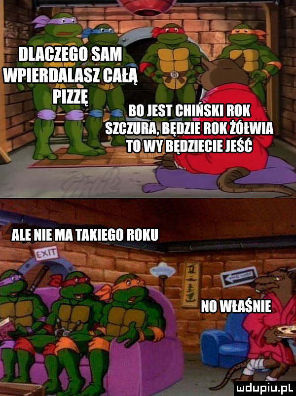 qd llliiiileiill sam   wi ieiiiiiiiiisi glia liści bai ihs i iii i iiisiii iiiiii slﬂlllliii. bęiiiie bukżóiwia i ii wy bęilliegie ieśś ale icie ica i akiegii iiiikii gal. j ré iii właśnie v in. r w