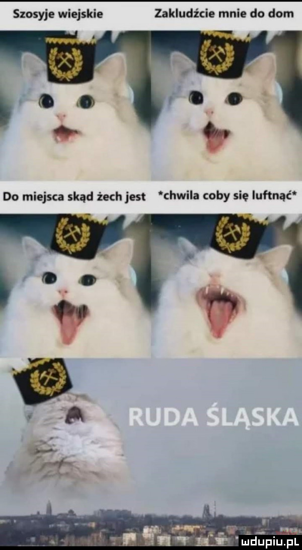 szosuje wiejskie zakludźcie mnie do dom do miejsca skąd żech jest chwila coby sie qutnąć    am b d ijfiijfl