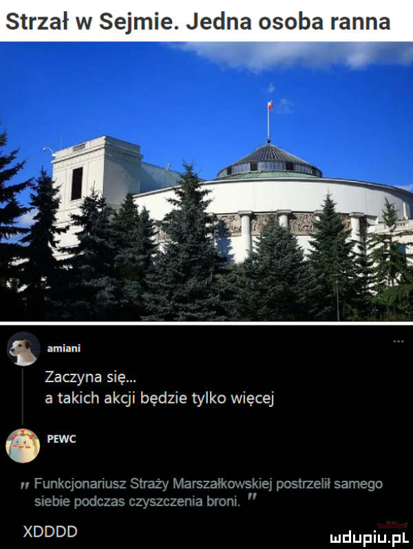 strzał w sejmie. jedna osoba ranna. amiami zaczyna się. a takich akcji będzie tylko więcej pelc