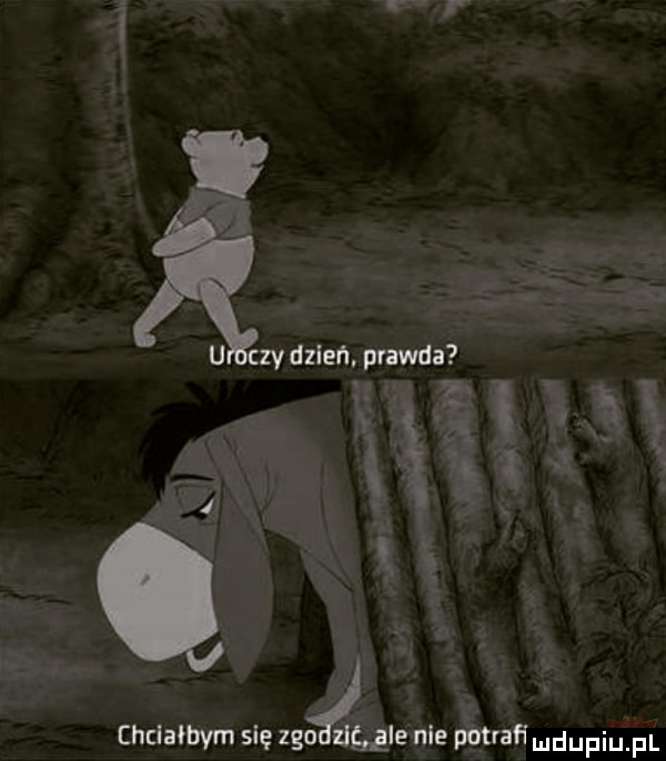 ao u zvdzleń prawda x. chciałbym się zgoańggle nie potrafi