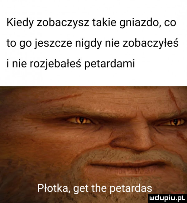 kiedy zobaczysz takie gniazdo co to go jeszcze nigdy nie zobaczyłeś i nie rozjebałes petardami płotka get tee petardas