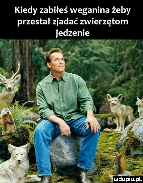 kiedy zabiłeś weganina żeby przestał zjadać zwierzętom jedzenie. ma