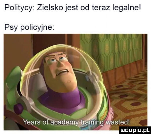 politycy zielsko jest od teraz legalne psy policyjne   n. yeats of anademy l wang