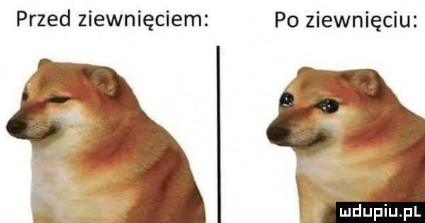 przed ziewnięciem po ziewnięciu maﬁpiupl
