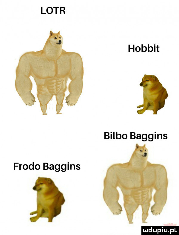 lotr hobbit bulbo baggins frodo baggins ludu iu. l