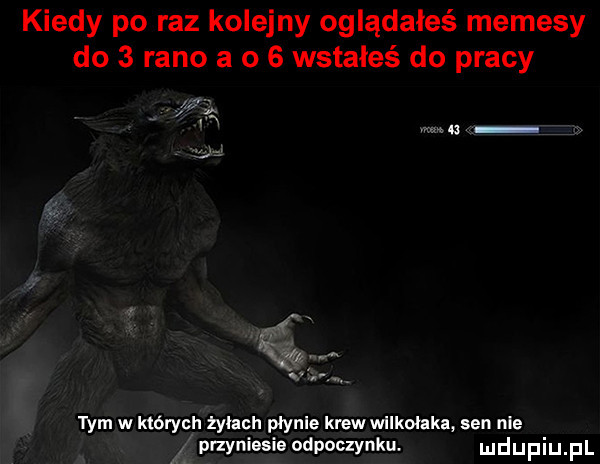 kiedy po raz kolejny oglądałeś memesy do   rano a o   wstałeś do pracy tym w których żyłach płynie krew wilkołaki sen nie przyniesie odpoczynku. udupiu pl