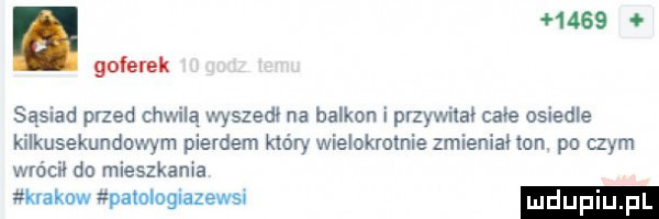 golarek sąsiad przed chwilą wyszedł na balkon i przywitał całe osiedle kilkusekundowym pierdem który wielokrotnie zmienianon po czym wrócił do mieszkania krakow palologiazewsi