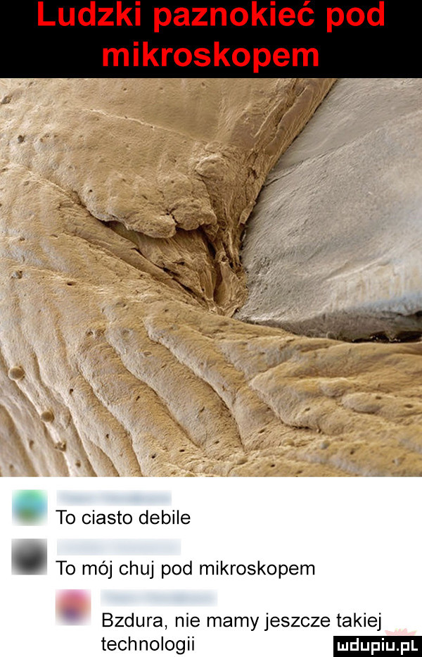 to ciasto debile. to mój chuj pod mikroskopem bzdura nie mamy jeszcze takiej technologii