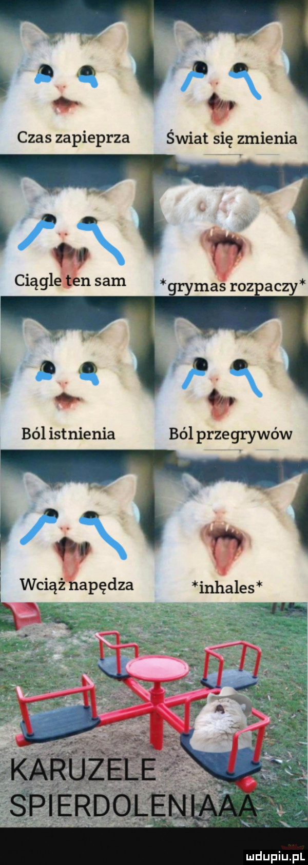 czas zapieprza świat się zmienia. ból istnienia ból przegrywów