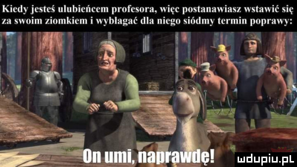 kiedy jesteś ulubieńcem profesora. więc postanawiasz wstawić się za swoim liomkiem i wybłagać dla niego siódmy termin poprawy ludupiu. pl