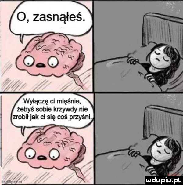 zasnąłeś d lu upiu pl