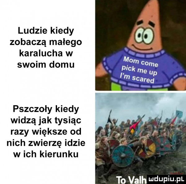 ludzie kiedy zobaczą malego karalucha w swoim domu pszczoły kiedy widzą jak tysiąc razy większe od nich zwierzę idzie w ich kierunku to valh ndupiu pi