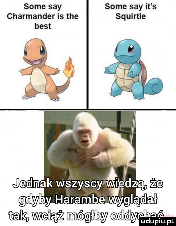 some say some say it s charmander is tee squirtle best ąi k jedna wszyscy a wędzą uk