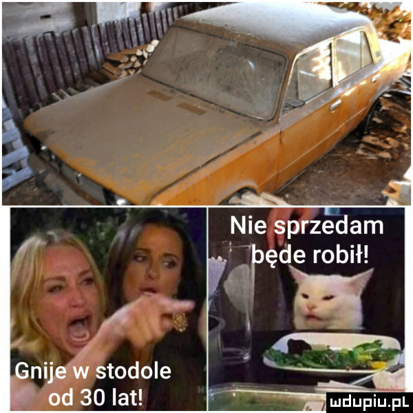 od    lat luupiu pl