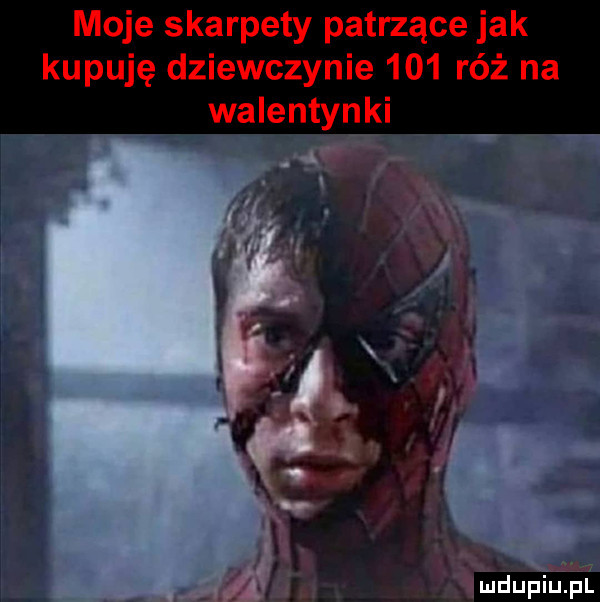 moje skarpety patrzące jak kupuję dziewczynie     róż na walentynki i i a. g. rl fmdupiinl
