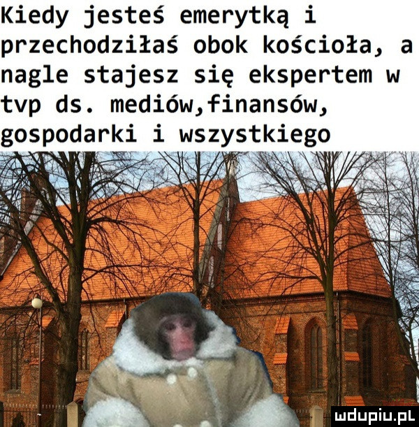 kiedy jesteś emerytką i przechodziłaś obok kościoła a nagle stajesz się ekspertem w tvp ds. mediów finansów gospodarki i wszystkiego.   mdupiule