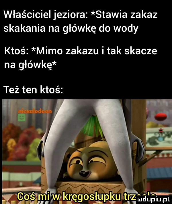 właściciel jeziora stawia zakaz skakania na główkę do wody ktoś mimo zakazu i tak skacze na główkę też ten ktoś
