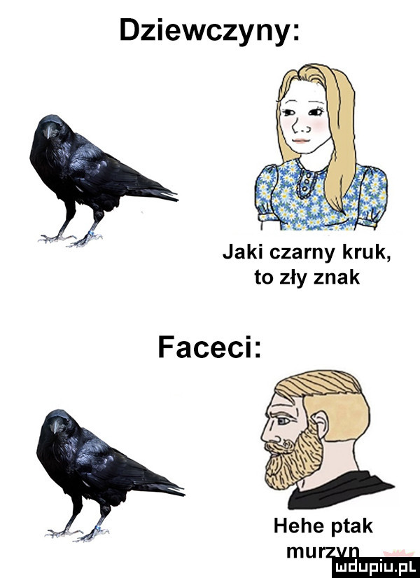 dziewczyny jaki czarny kruk to zły znak hebe ptak wam